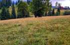 Teren intravilan 25 de arii, Piatra -Fantanele,1200€ pe arie - 2