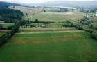 Teren 10,000mp Nemtisor / DJ 155C - 3