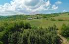 De vânzare casă cu teren și pădure 55706 mp - Șinteu, Valea Târnei - 15