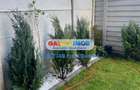 2 camere decomandat, curte proprie București-Prelungirea Ghencea - 16