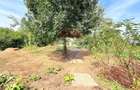 Casă de vânzare | 5 camere | Teren 1.200 mp | Foisor | Ciorogârla