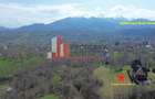 Teren Premium 1.200 mp | Bran - Predelut | Vedere spre Bucegi și Piatra Craiului - 4