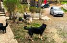 Proprietate Breaza de vis , zona de vis , prezentarea agentului , de vis - 12