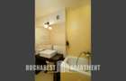 Apartament tip Duplex de Inchiriat pe Bulevardul Unirii - 8