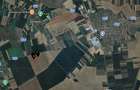 Teren extravilan 46,300mp Curtici - 5