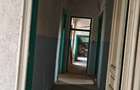 VANZARE CASE VILE GRADINA ICOANEI - 2