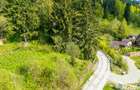 Teren Construibil 930 mp în Predeal – Lângă Pădure și Pârtia Clăbucet - 6
