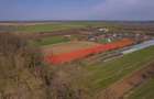 NUCI - BALTA NEAGRA, LOT 3900 MP, LA PADURE! - 11