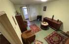 APARTAMENT 2 CAM, DRISTOR BABA NOVAC - 10