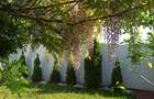Vila Corbeanca 5 camere | Panouri Solare | Confort Premium | Aproape de Mall - 12