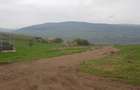 Teren intravilan 1000 mp, cu PUZ, zona platoului Radaia - 5