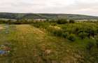RECO Teren intravilan de vanzare Betfia, Bihor - 3000 mp, front stradal 20 m - 9