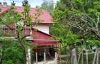 Casa de vanzare in Cuvin com. Ghioroc jud Arad - 9