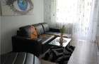 Apartament 2 camere cf 1 decomandat zona Crang - 2