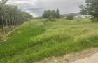 Teren 5.000 mp | Tămăși – Corbeanca | Lângă Pădure | Utilități - 1
