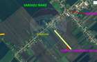 Teren de vânzare cu potențial construibil 6,700mp Variasu Mare - 5
