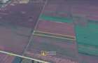 teren agricol de vanzare Vladimirescu, Arad - 2