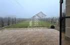 Duplex 5 camere, Mosnita Noua - 7