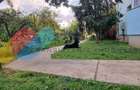 Apartament 57 m² utili în vilă,zona Plevnei - 4
