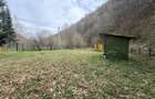 Teren  Somesu Rece aproape de cabana  La Caprita - 3