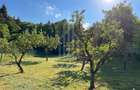 Casă rustică de vânzare în Tilișca, (Marginimea Sibiului) - 21