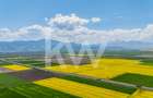 Teren 10.600 mp în Codlea – ideal pentru investiție industrială - 15