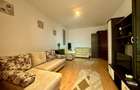 Apartament 1 camera . Zona Gradiste, Arad - 3