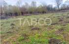Teren intravilan pentru casa zona linistita 550 mp front 21 m Cisnadie - 3