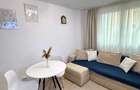 Apartament 2 camere / decomandat / 39 mp / Smart Tv / Teiul Doamnei - 2