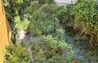 Apartament 3 camere, boxa, pod, zona centrala - Horea - 12