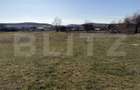 Teren intravilan in localitatea Hereclean in suprafata de 5800 mp - 4