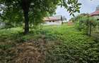 Casa  de vânzare cu teren 9200 mp, Pădureni-Șendriceni, Botoșani - 20