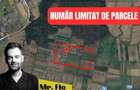 Terenuri Premium lângă Pădurea Bistra – Oportunitate Limitată - 1