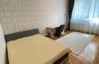 Apartament de închiriat, 1 cameră, 50 mp, zona Piața Muzeului - 11
