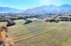 Teren intravilan 12.615 mp | Panorma Bucegi, Magura, P. Craiului - 2