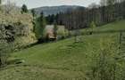 Vanzare teren exceptional, Valea Doftanei, Florei-Secaria, 22000mp, 250 000 euro - 6