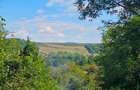 Teren cu priveliste spre vale, la padure, zona linistita, la 1h30 de Bucuresti - 2