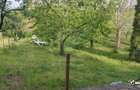 Casa cu gradina in Apahida - 13