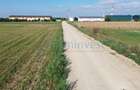 Teren intravilan de vanzare, 66400 mp, langa Oradea, Bihor - 15