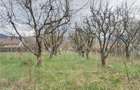 Casa si teren de vanzare in Sacel - 1355 mp teren - livada - Central - 5