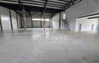 Spatiu Comercial/Hala - Baciu - Constructie Noua/Parcare - 26