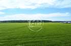 OPORTUNITATE INVESTIȚIE:Teren intravilan 25.000mp Dascălu-Pădure, parcelabil - 11