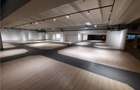 Spatii Comerciale - 500 mp - Showroom - Comert - 2
