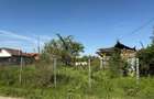 Teren intravilan,Teghes,Domnesti,strada Caminului - 1