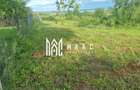 Teren intravilan de vânzare Daia Nouă | 1000 mp | Ideal pentru construcție - 4