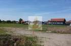 TEREN CU PUZ APROBAT | SĂCĂLAZ CENTRU | TOATE UTILITĂȚILE - 6