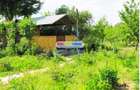 Vanzare casa parter constructie 2014 autostrada A1 teren 1500mp - 6