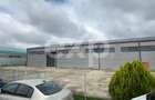 Hub Logistic Premium Otopeni – Centură: Hală 1.500 mp + Birouri 700 mp - 4