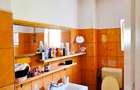 Vila P+1+5600 mp teren, proprietate de 5 km de oras - 12