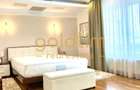 PENTHOUSE PREMIUM/SOSEAUA NORDULUI/HERASTRAU/2 LOCURI PARCARE/BOXA/TERASA MARE - 4